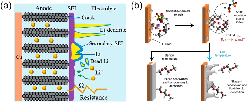 cycle life cycle life